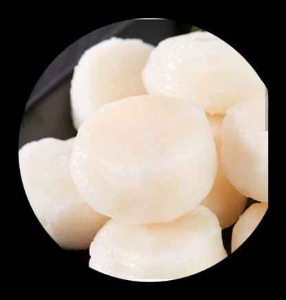 意大利黑松露豬肉皮鮮豬肉帶子雲吞